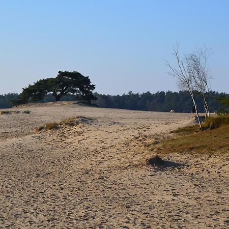 Huisje Weideblik Doornspijk Bagian luar foto