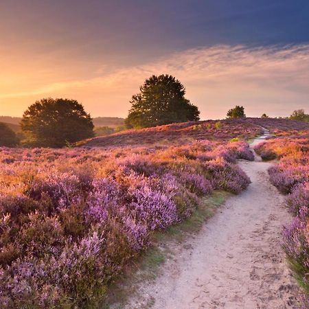 Huisje Weideblik Doornspijk Bagian luar foto
