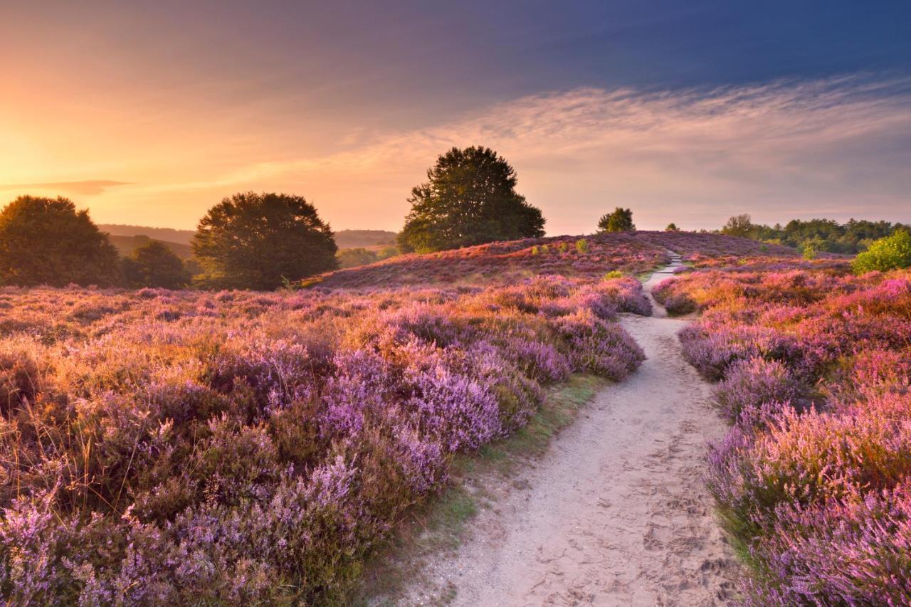 Huisje Weideblik Doornspijk Bagian luar foto